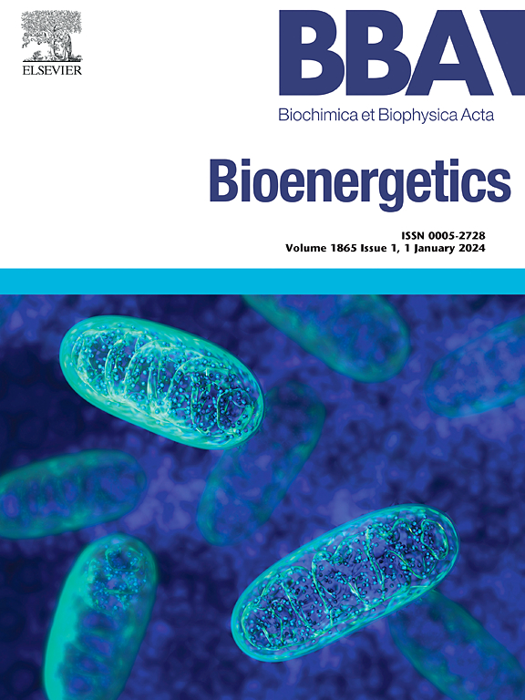 Go to journal home page - Biochimica et Biophysica Acta (BBA) - Bioenergetics